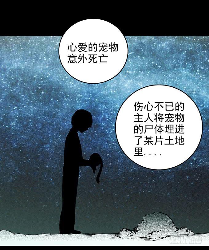 雨夜故事（三/完）(1/2)-第88话