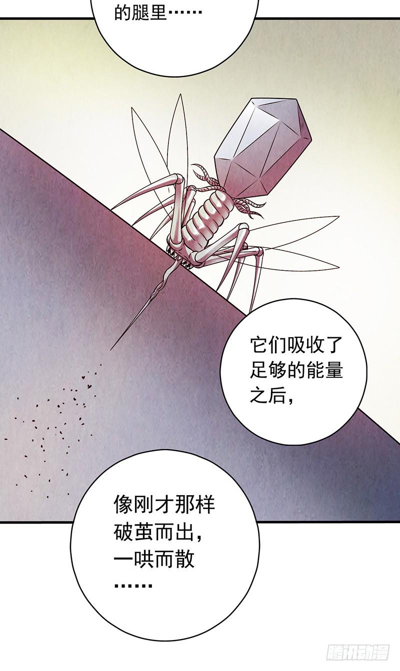 第14回：机器昆虫-第14话