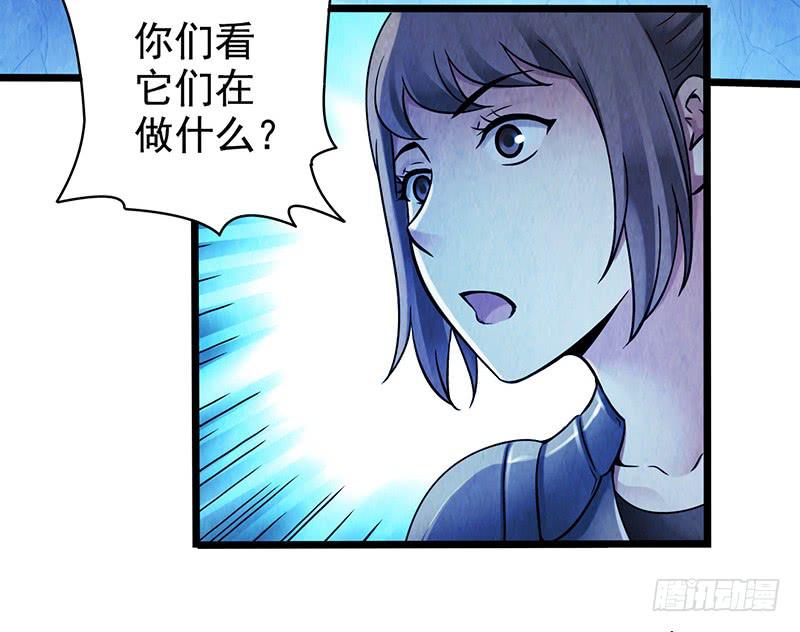 第42回：长桥-第42话