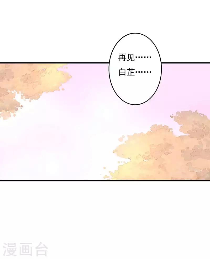 第63话 再见了，白芷！-第64话