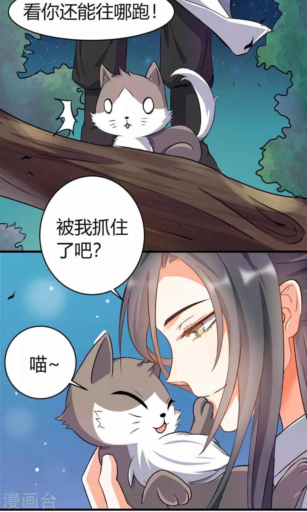 第3话 失踪的猫-第4话