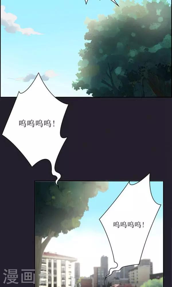 第12话-第12话
