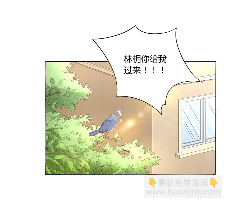 🍔恋爱云书 035告白要在酒醒时 第4页