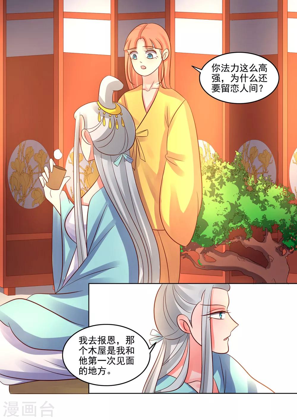 第41话 狸猫换婉玉-第42话