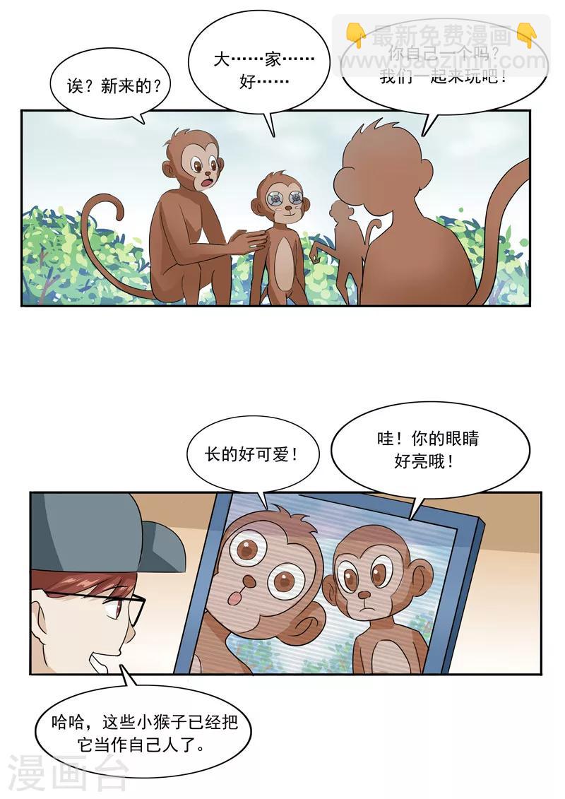 第44话 动物世界-第44话