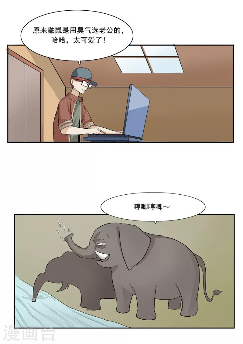 第44话 动物世界-第44话