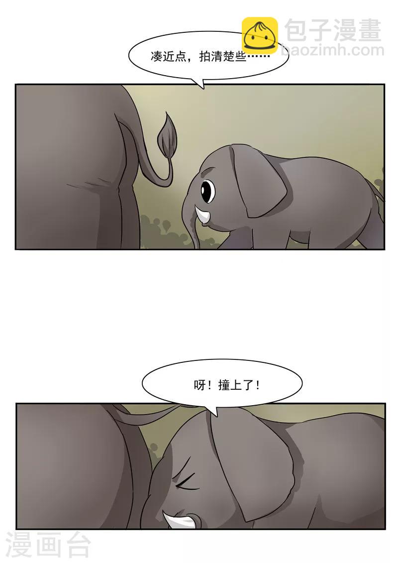 第44话 动物世界-第44话