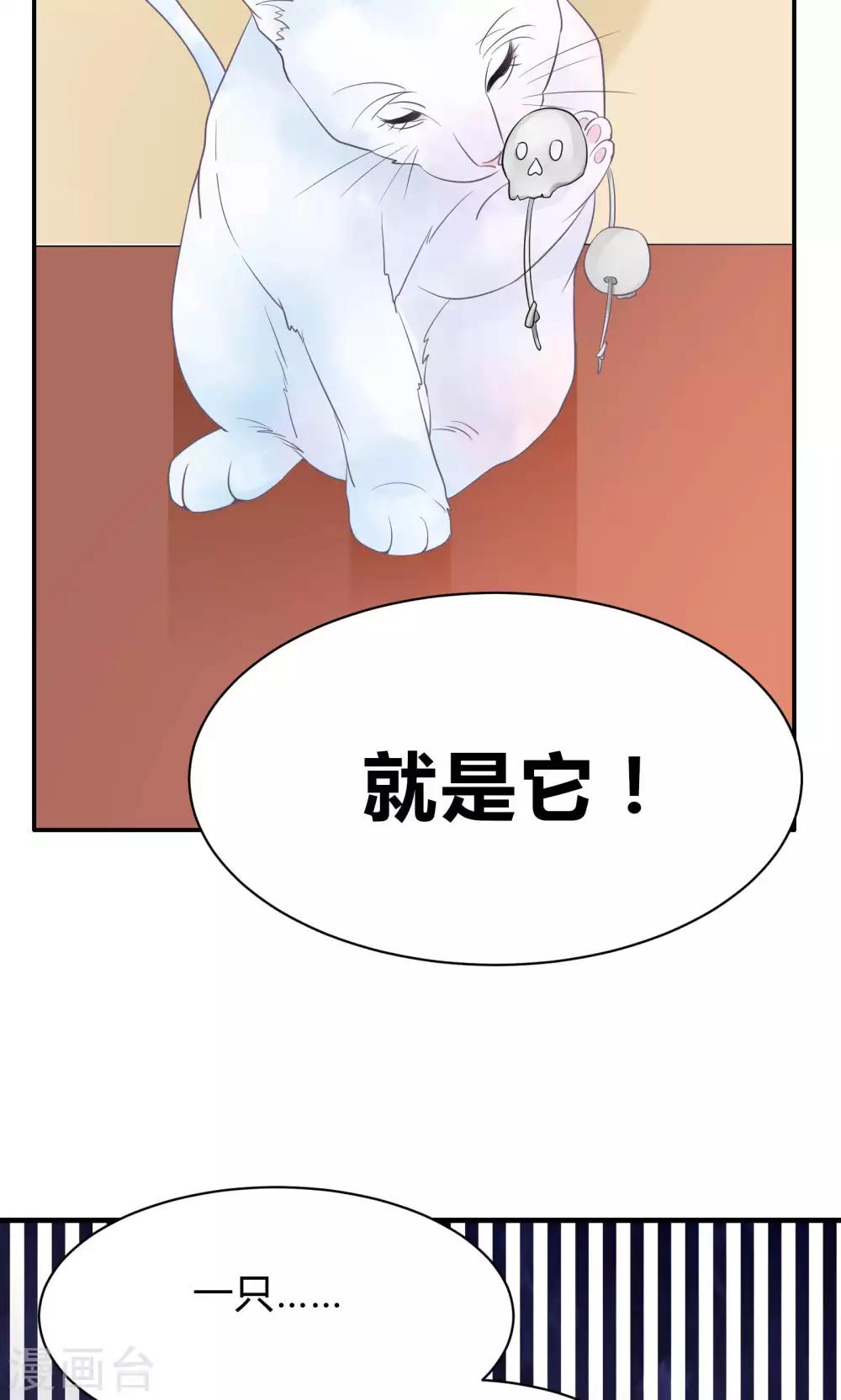 第42话-第42话