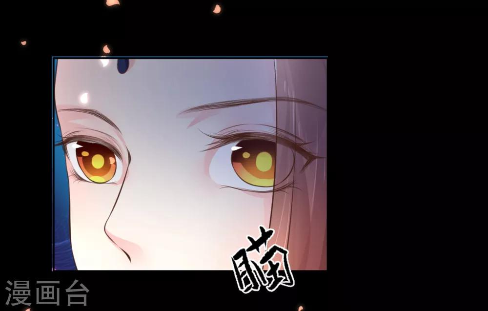 第75话 接回将军-第80话