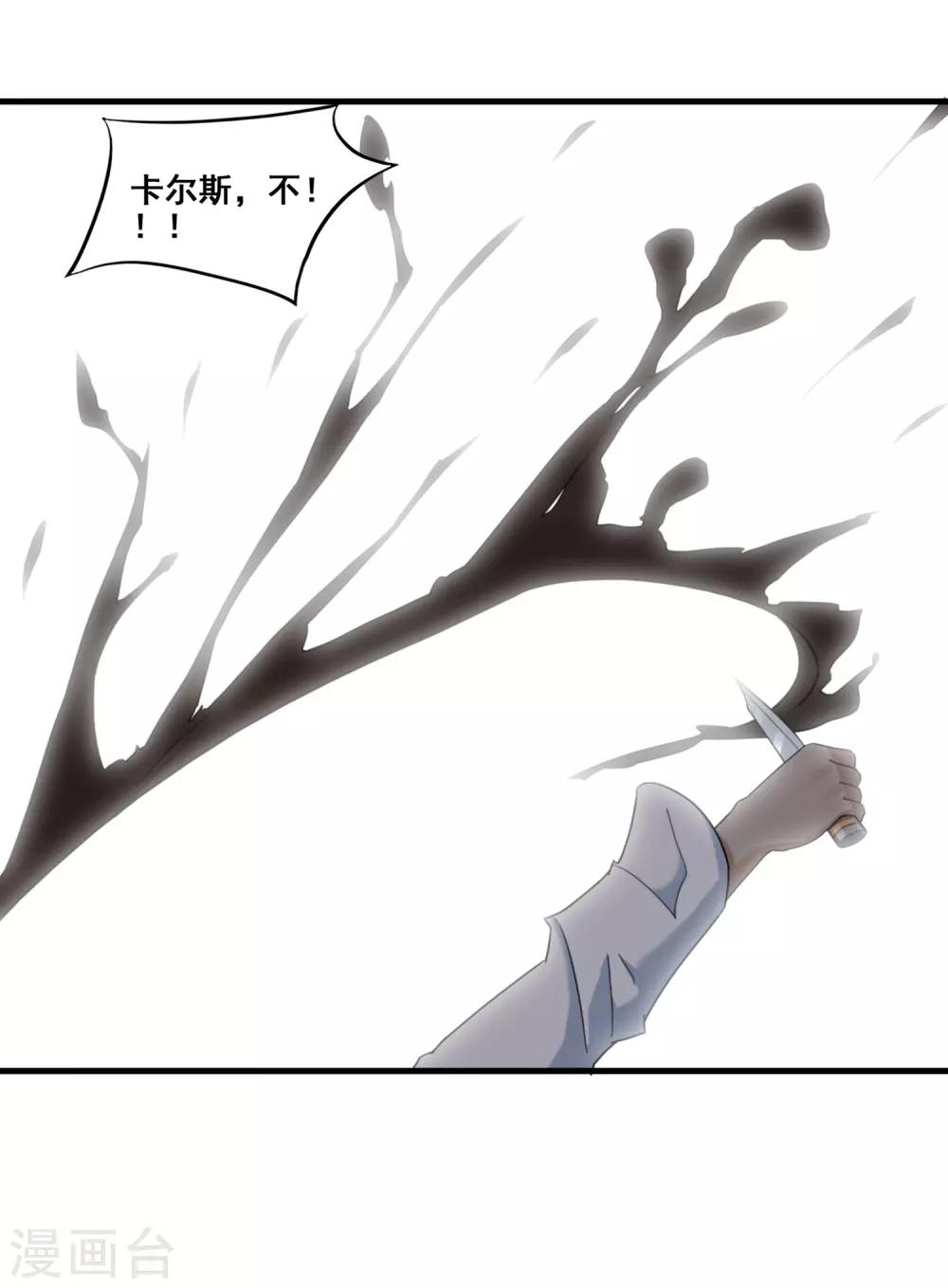 第15话 卡尔斯的计划-第16话