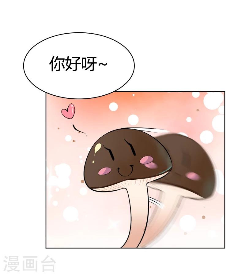 第38话 宇文轩的心思-第38话