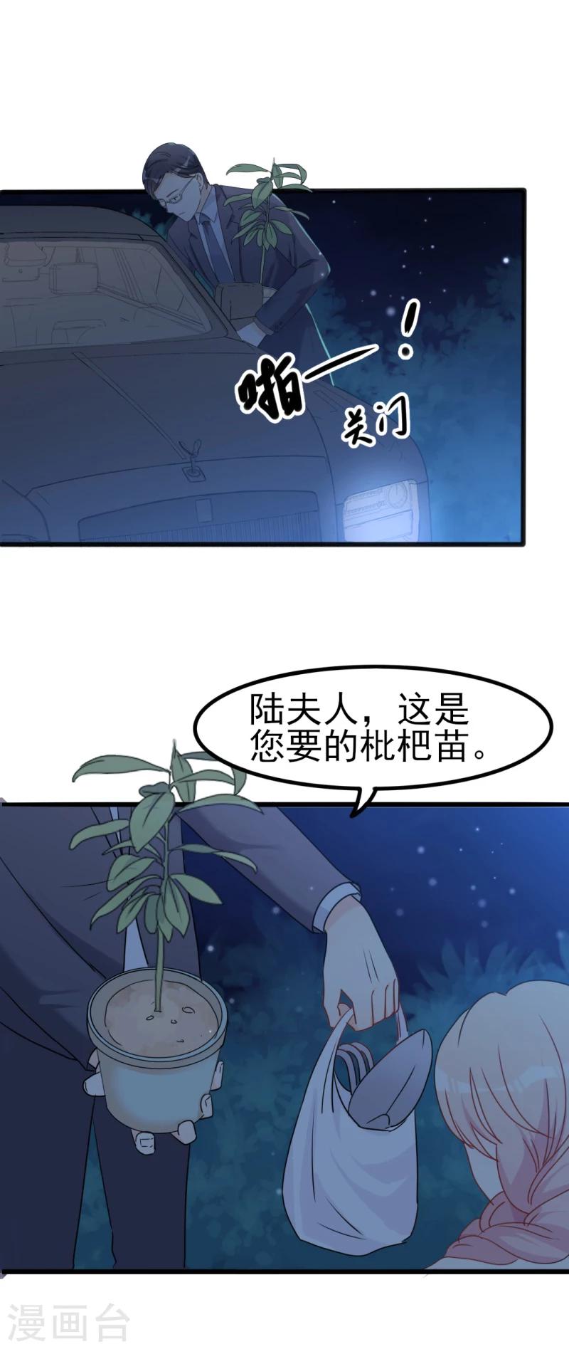 第34话 庭有枇杷树-第34话