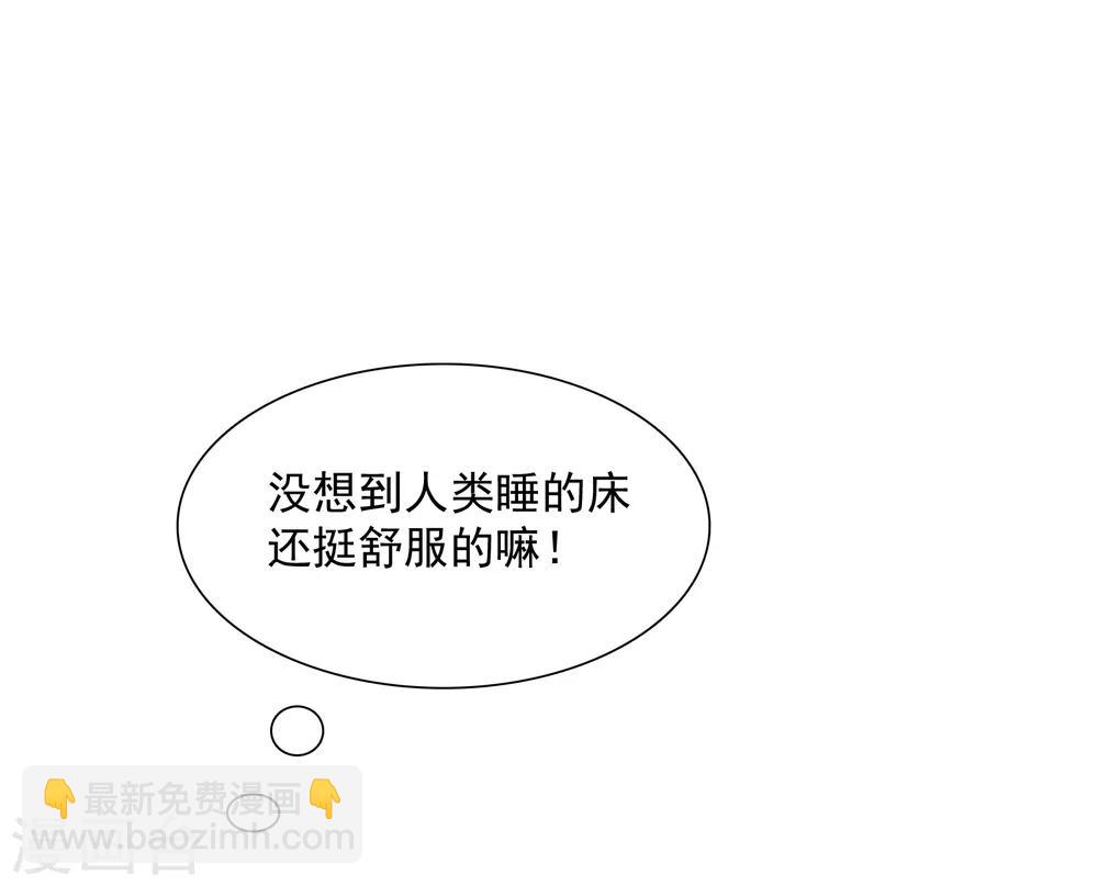 第5话 饲养萌宠第一步-第6话