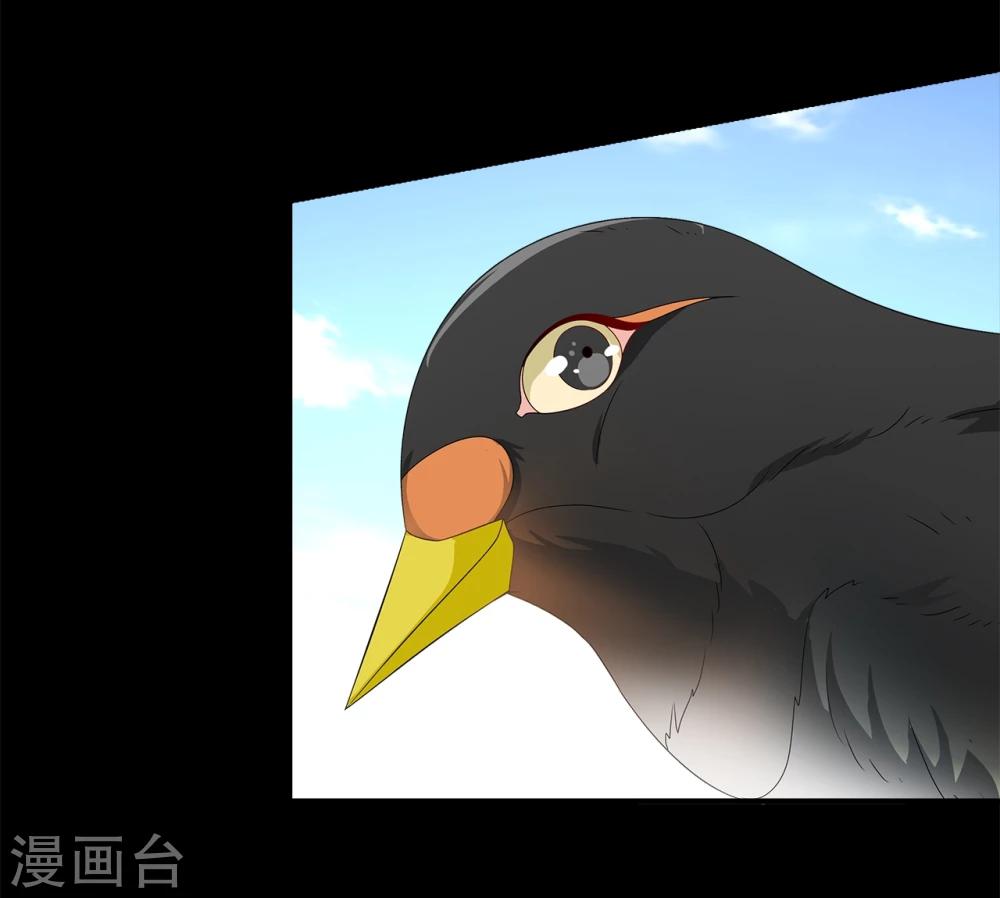第205话 玄鸟2-第206话