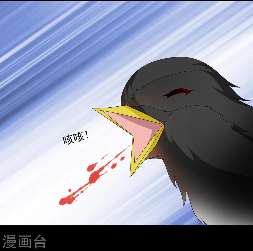 第209话 玄鸟6-第210话