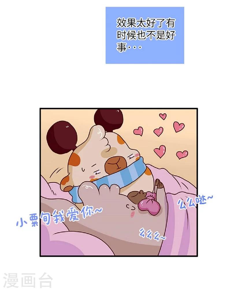 第62话 假发的魅力-第62话