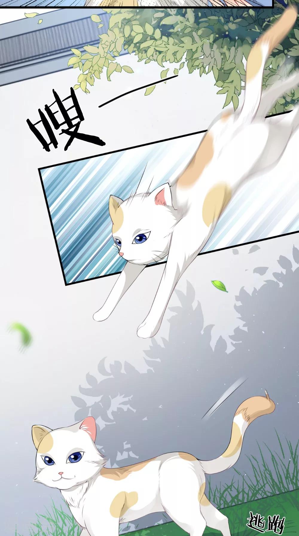 第139话 捉猫咪的人-第146话