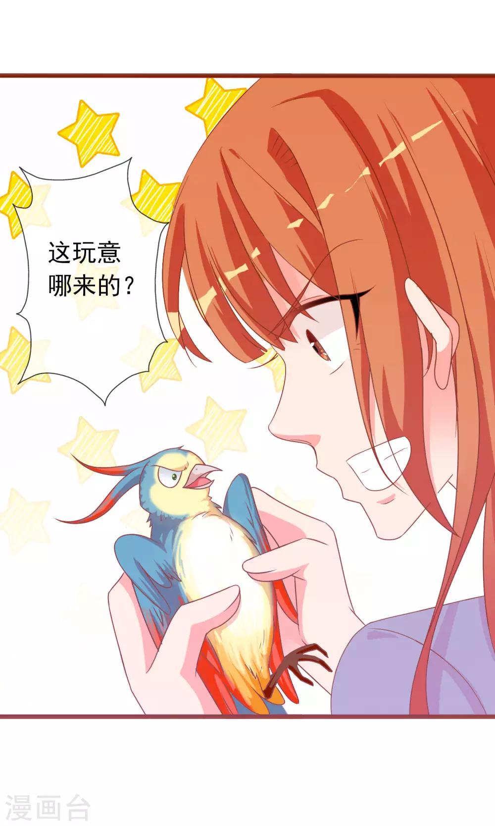 第39话 红烧鹦鹉肉好不好？-第40话