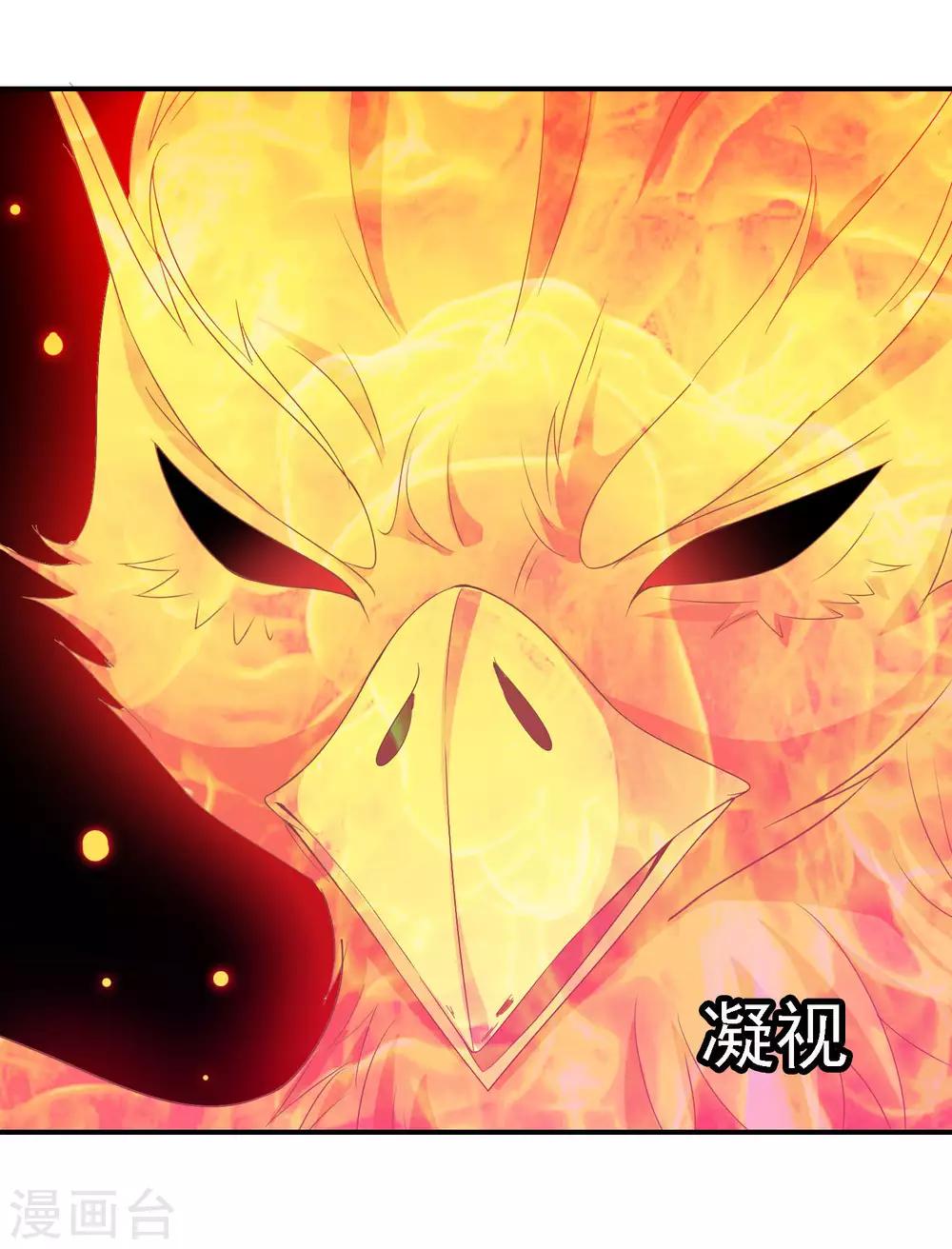 第49话 大鸟的凝视-第50话