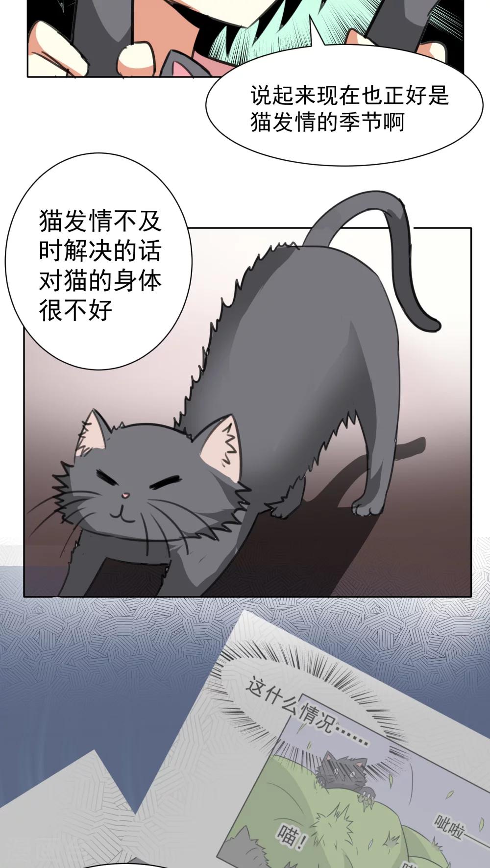 第17话-第18话