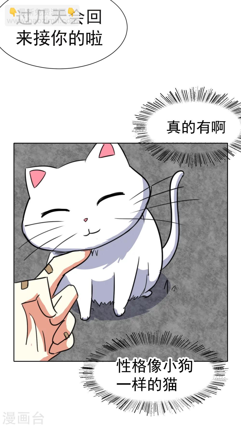 第37话-第38话