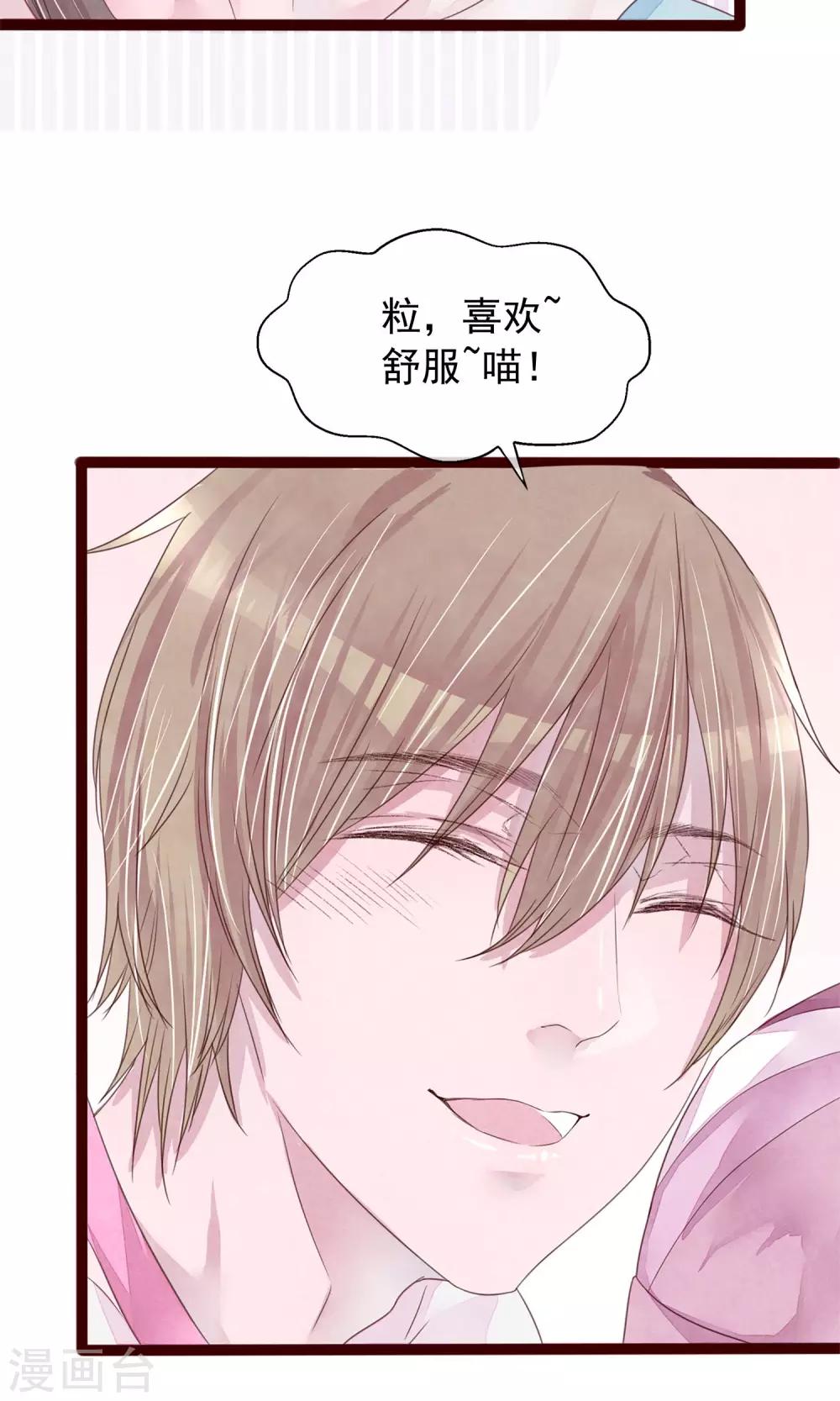 第5话 打扮我的喵-第6话