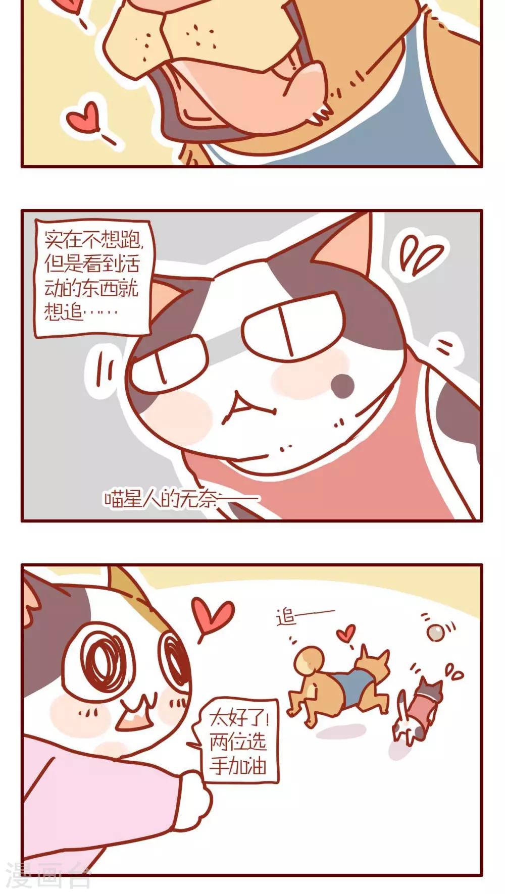 第146话-第146话