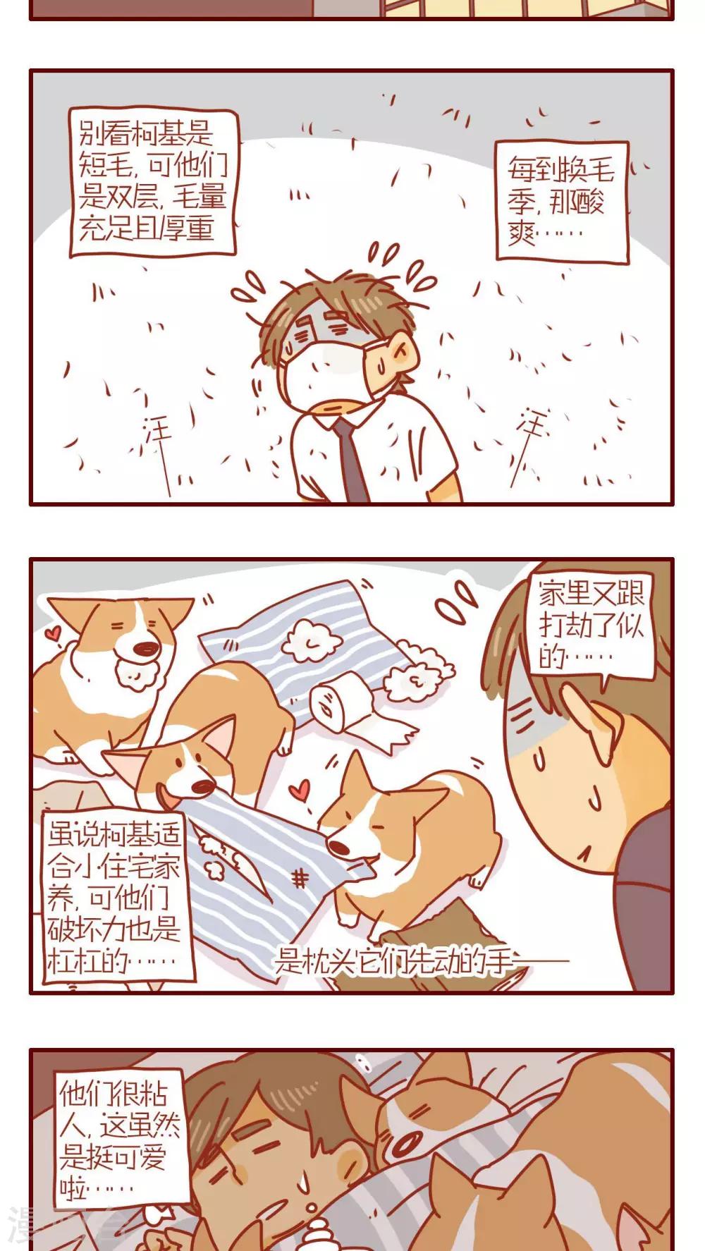 第168话-第168话