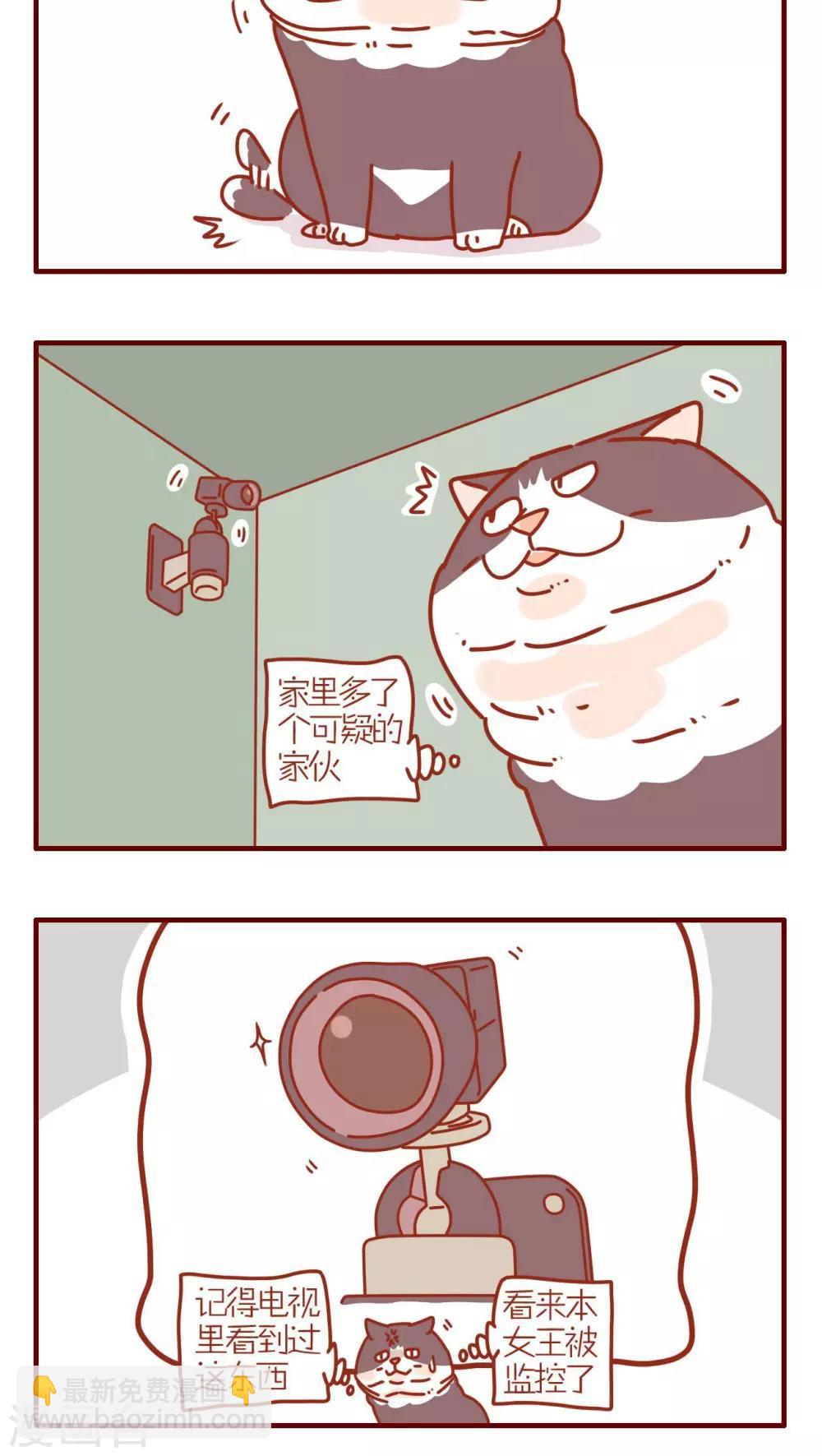第186话-第186话