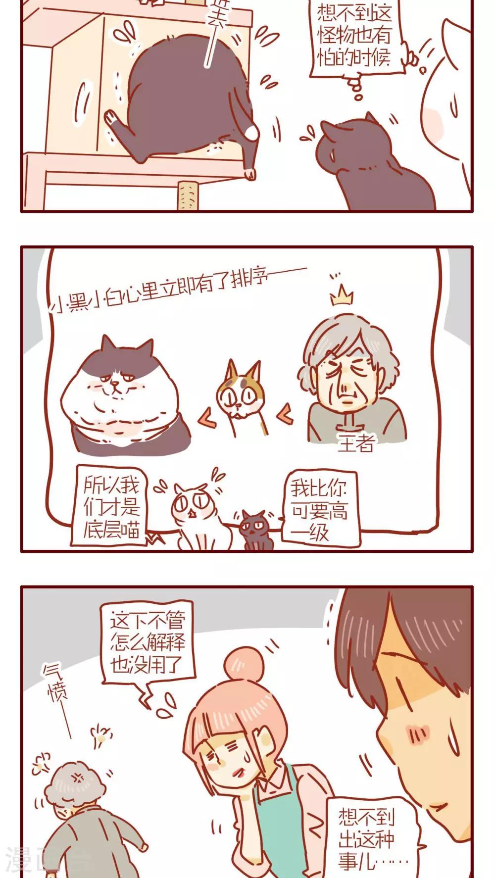 第238话-第238话