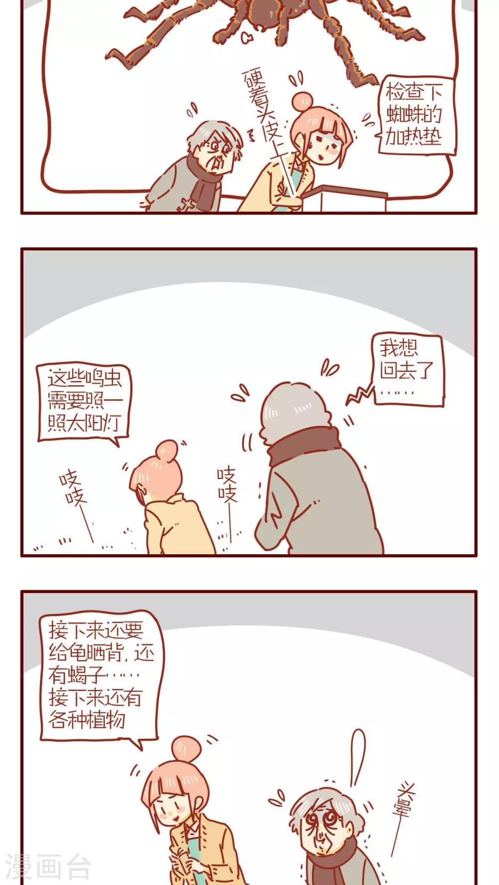 第244话-第244话