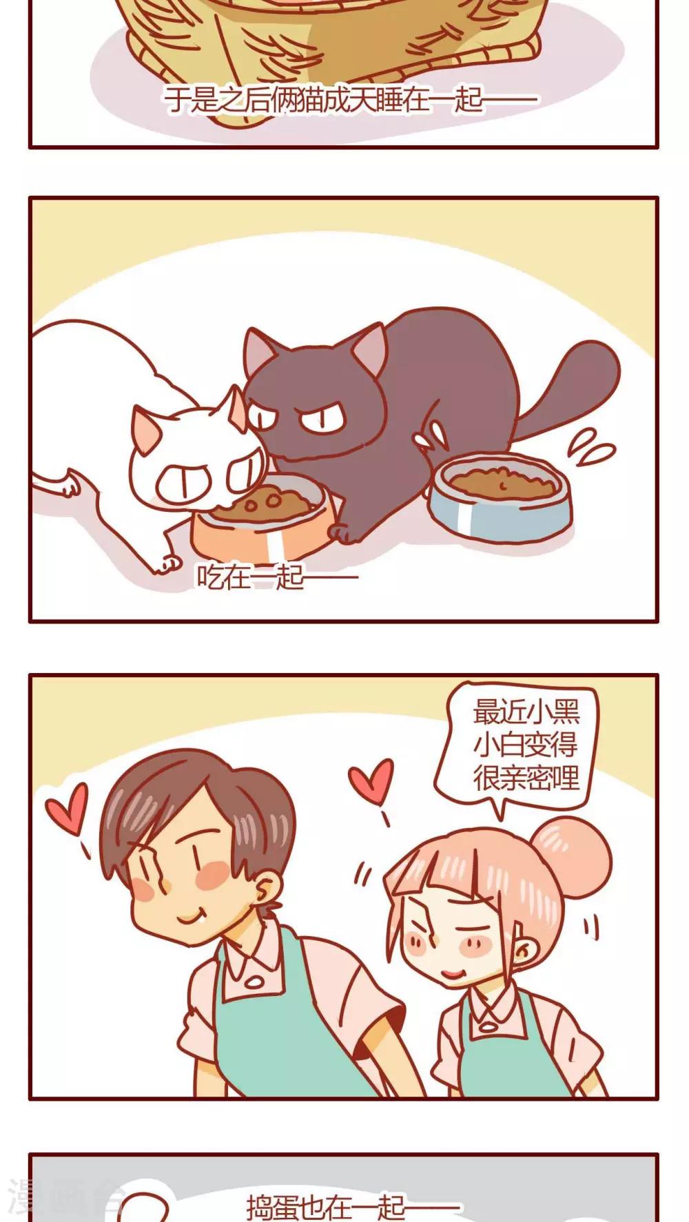 第26话-第26话