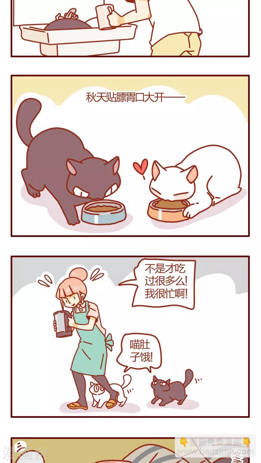第26话-第26话