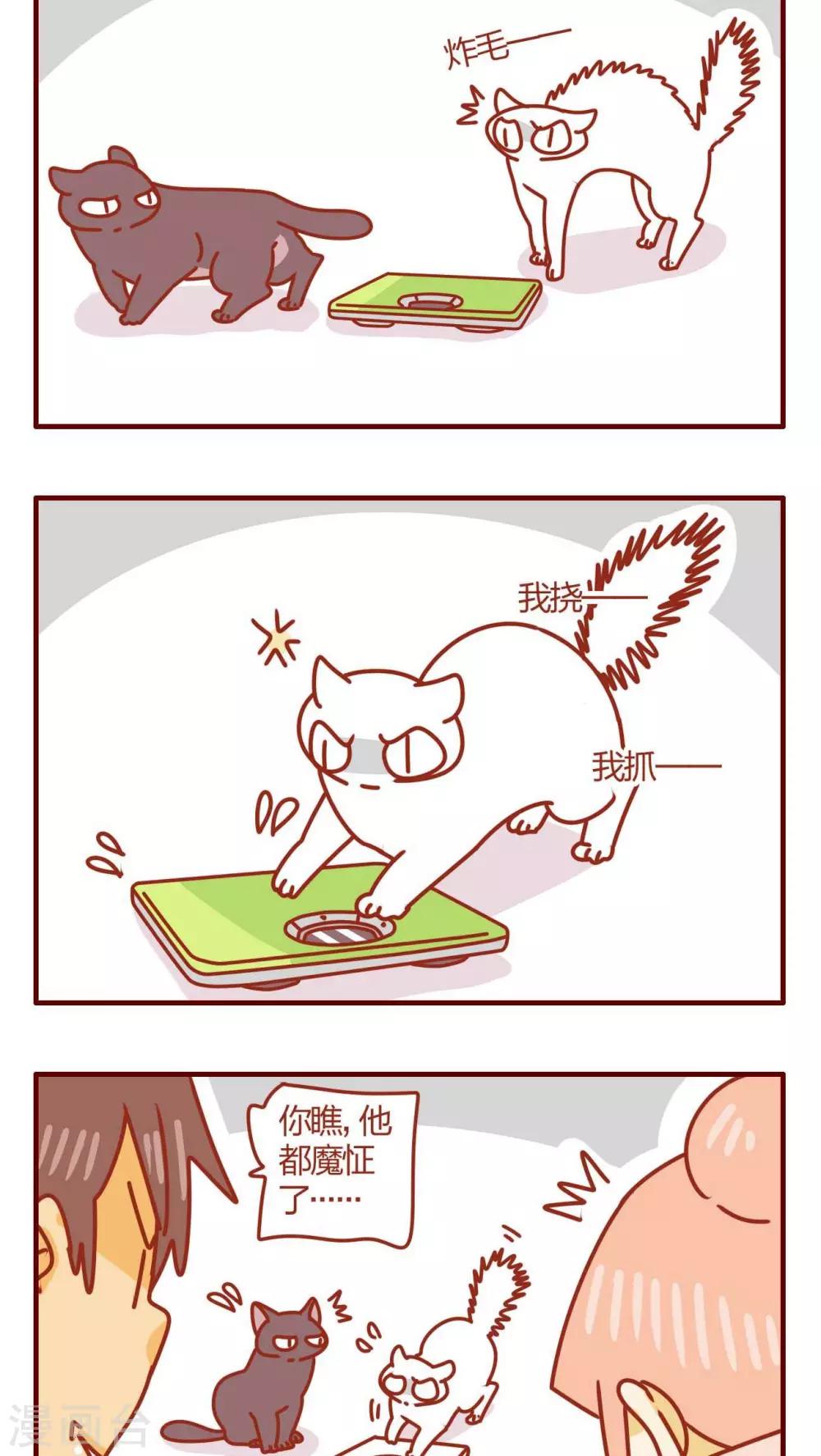 第28话-第28话