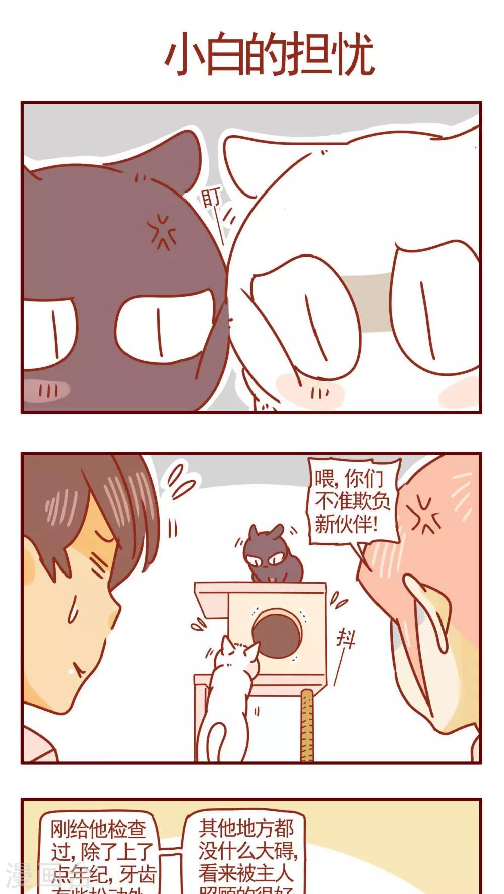 第276话-第276话