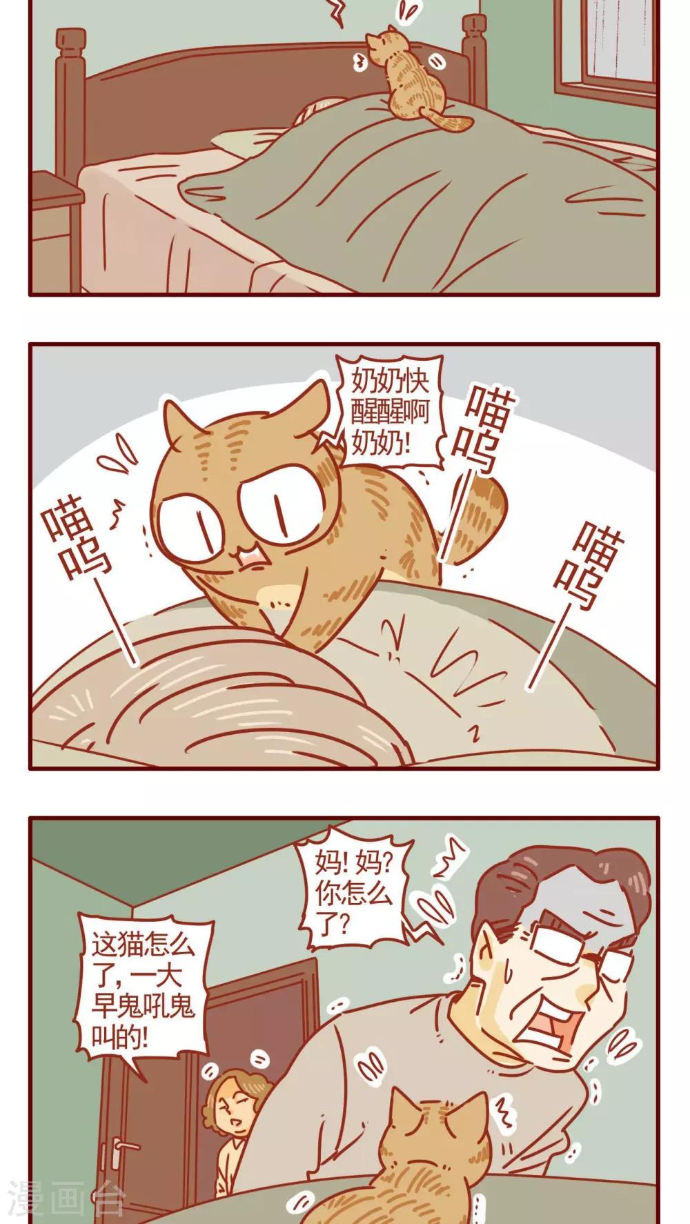 第278话-第278话