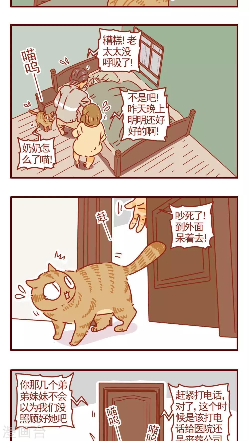 第278话-第278话