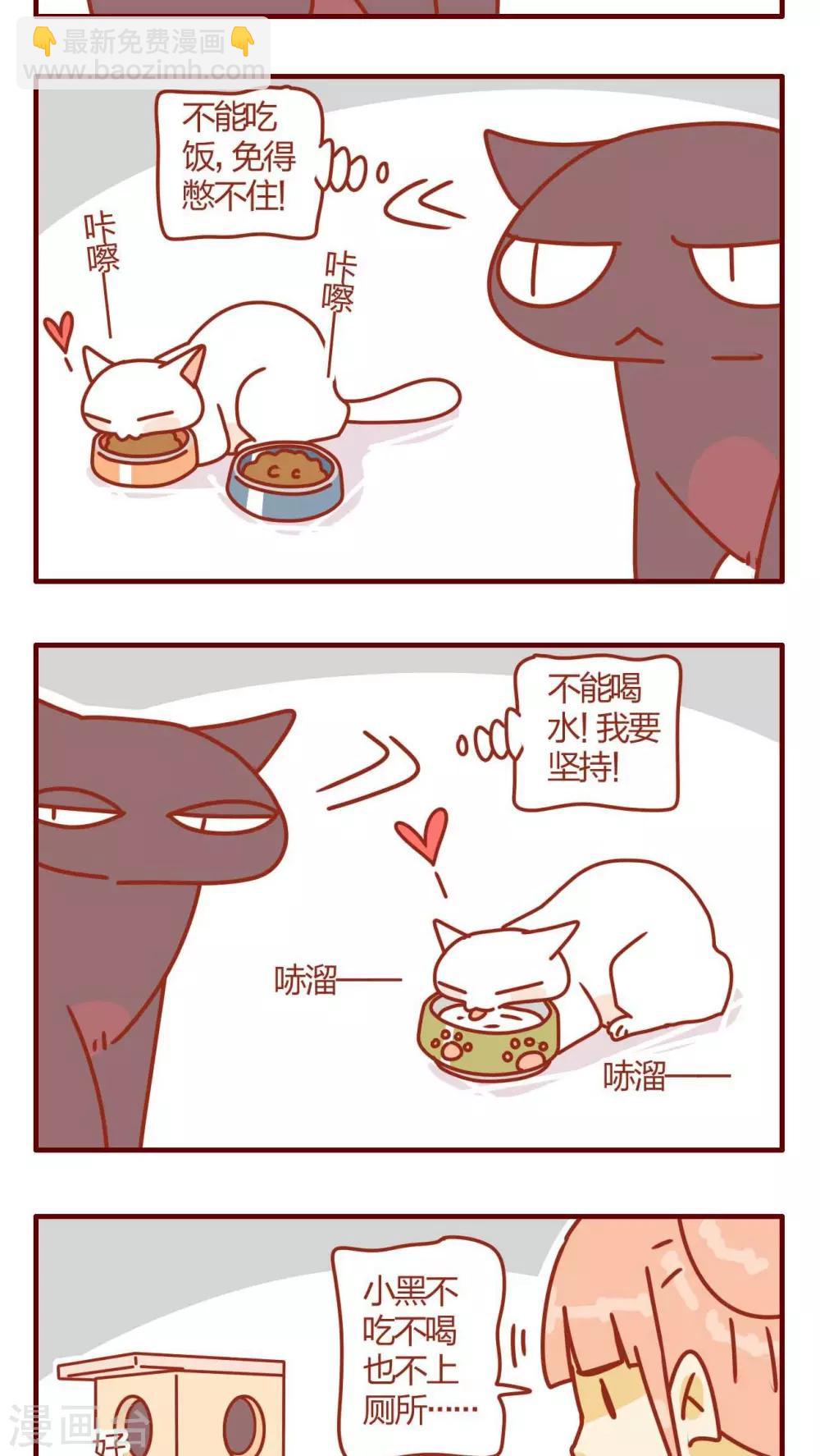 第4话-第4话