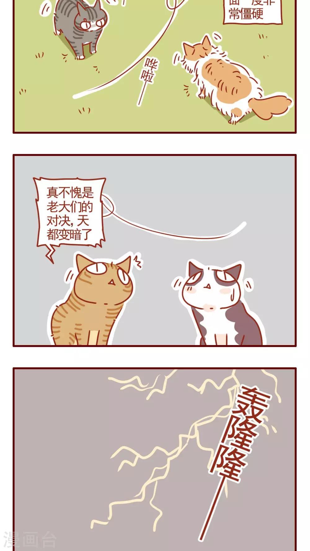 第328话-第328话
