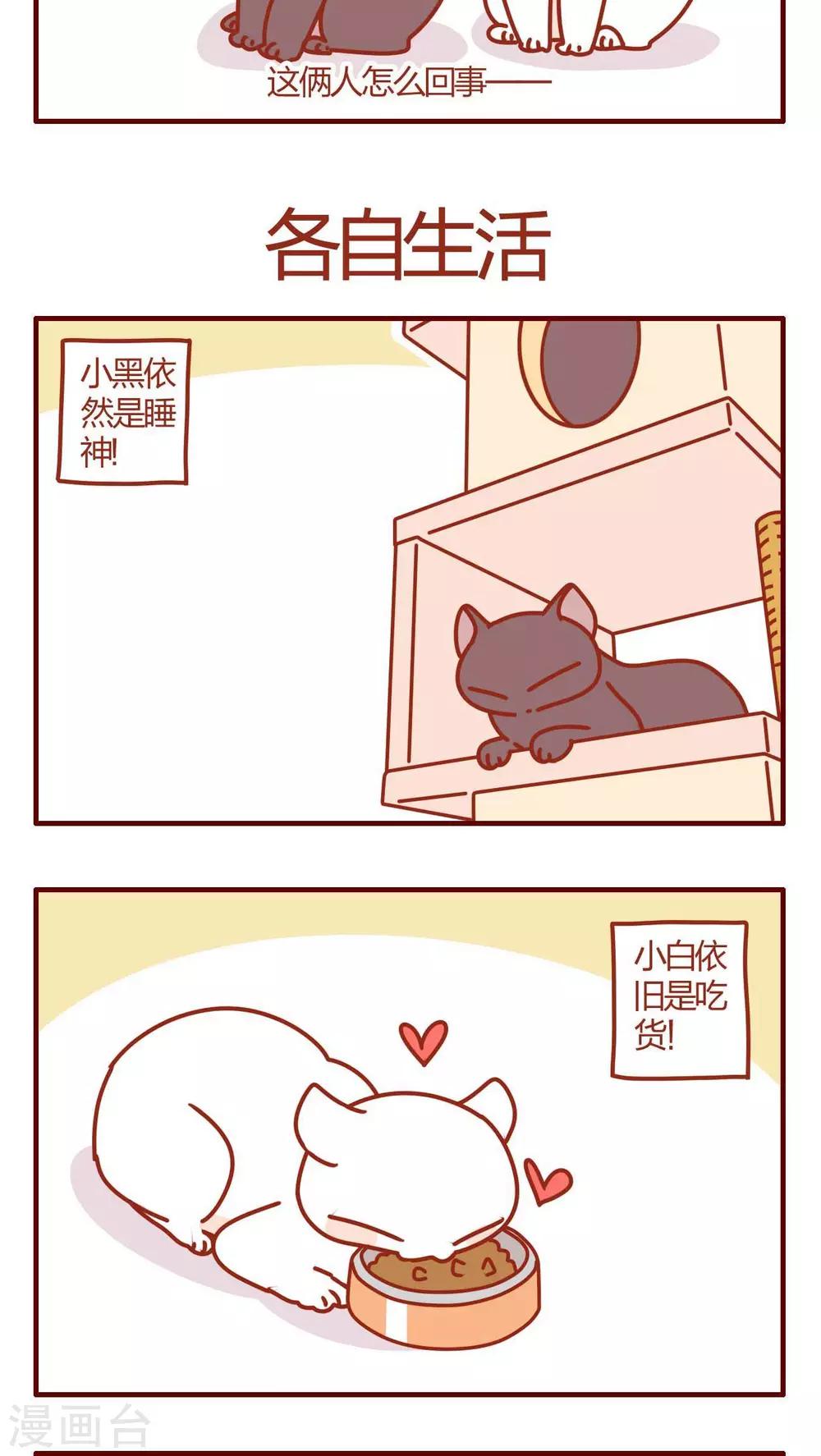 第36话-第36话