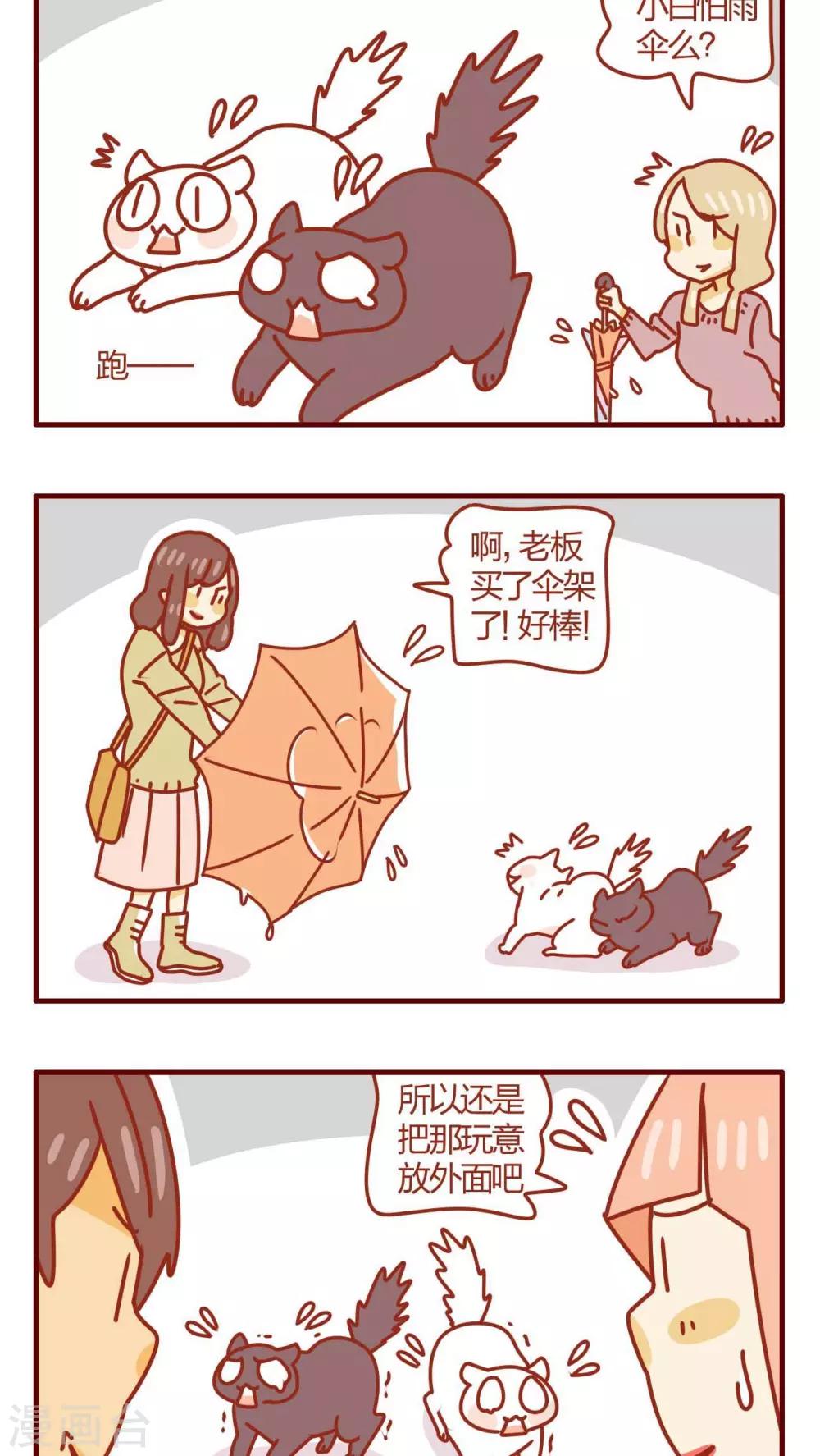 第38话-第38话