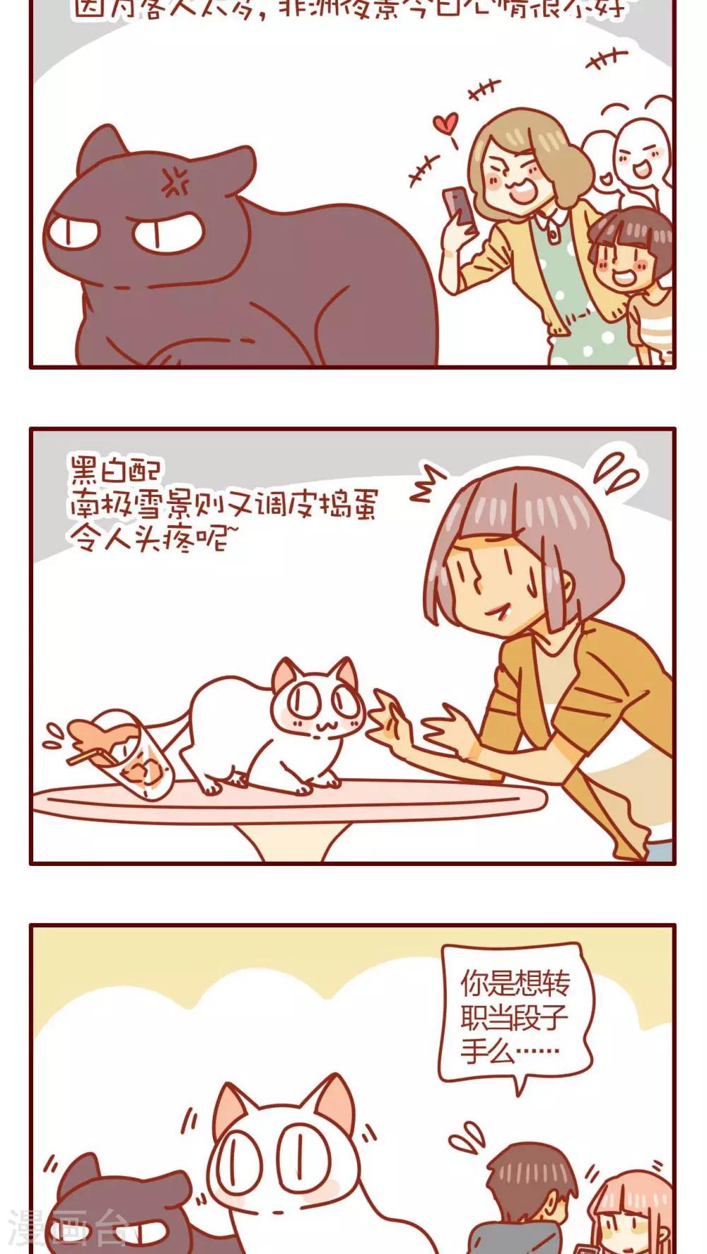 第38话-第38话