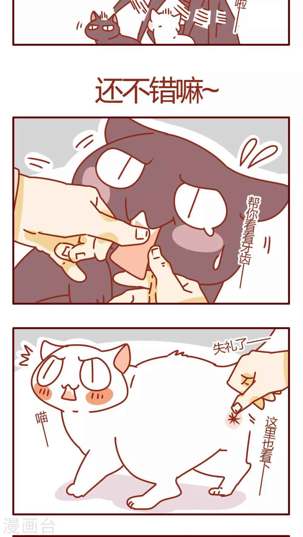第44话-第44话