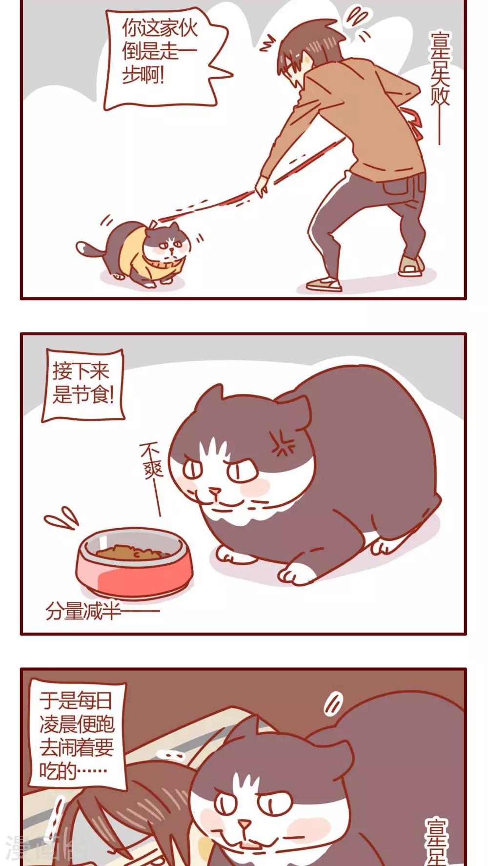 第46话-第46话