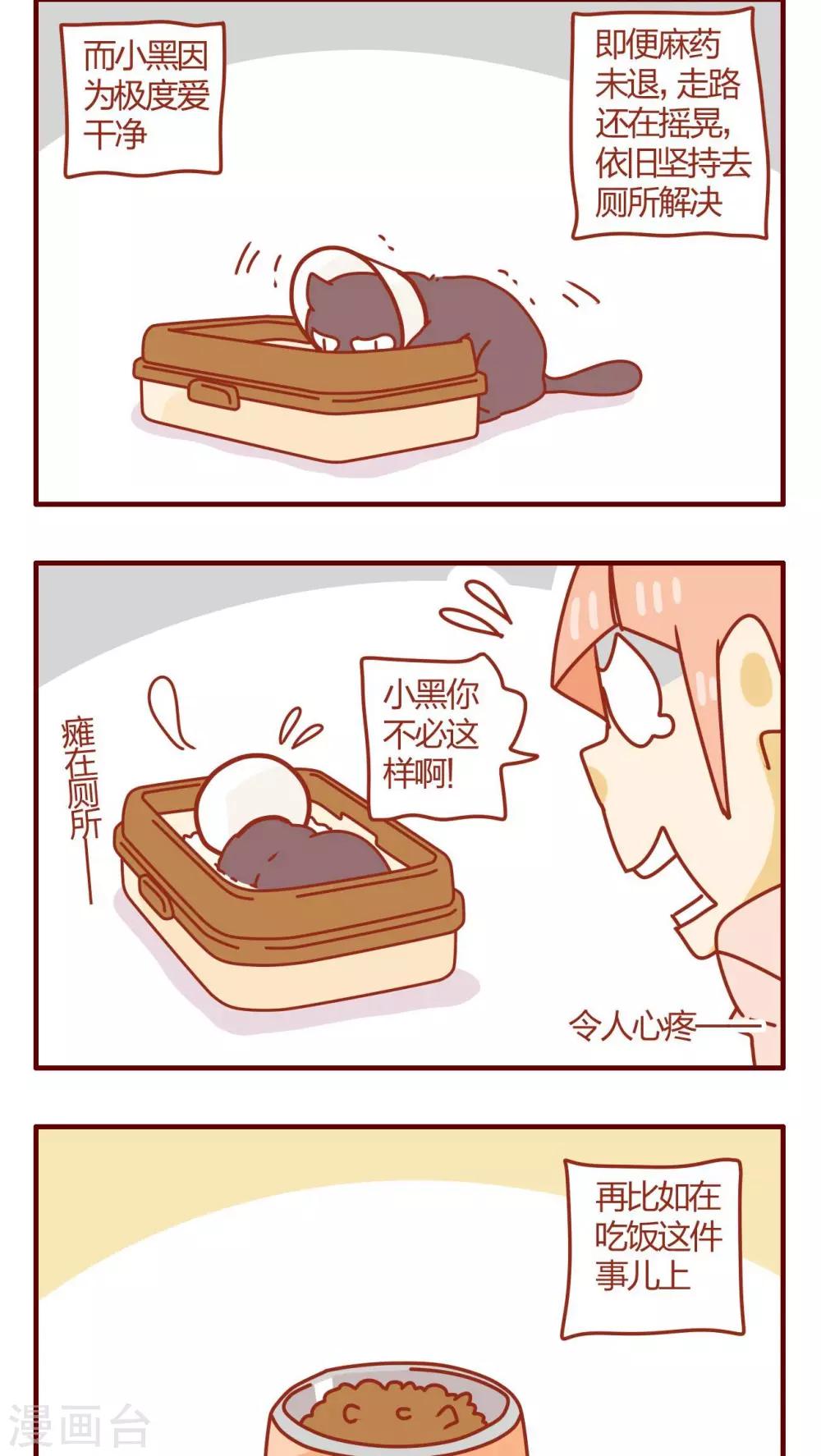 第48话-第48话