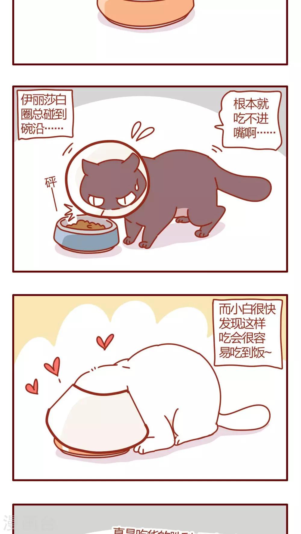 第48话-第48话