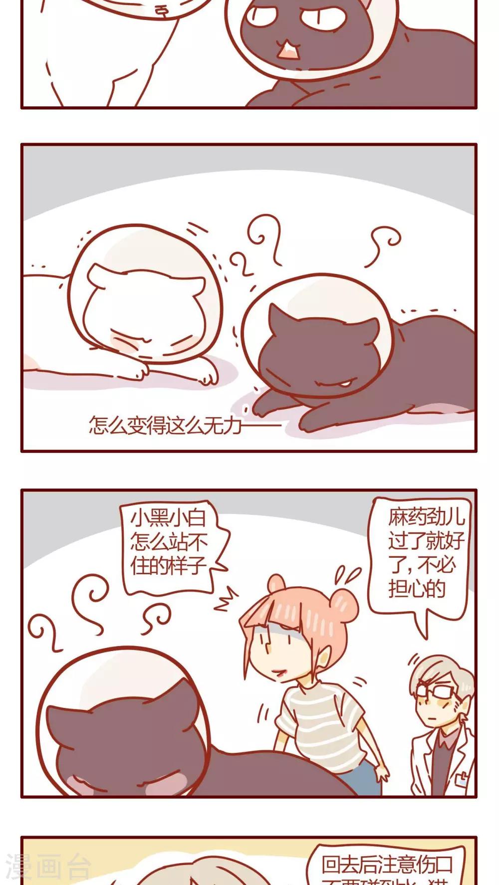 第48话-第48话