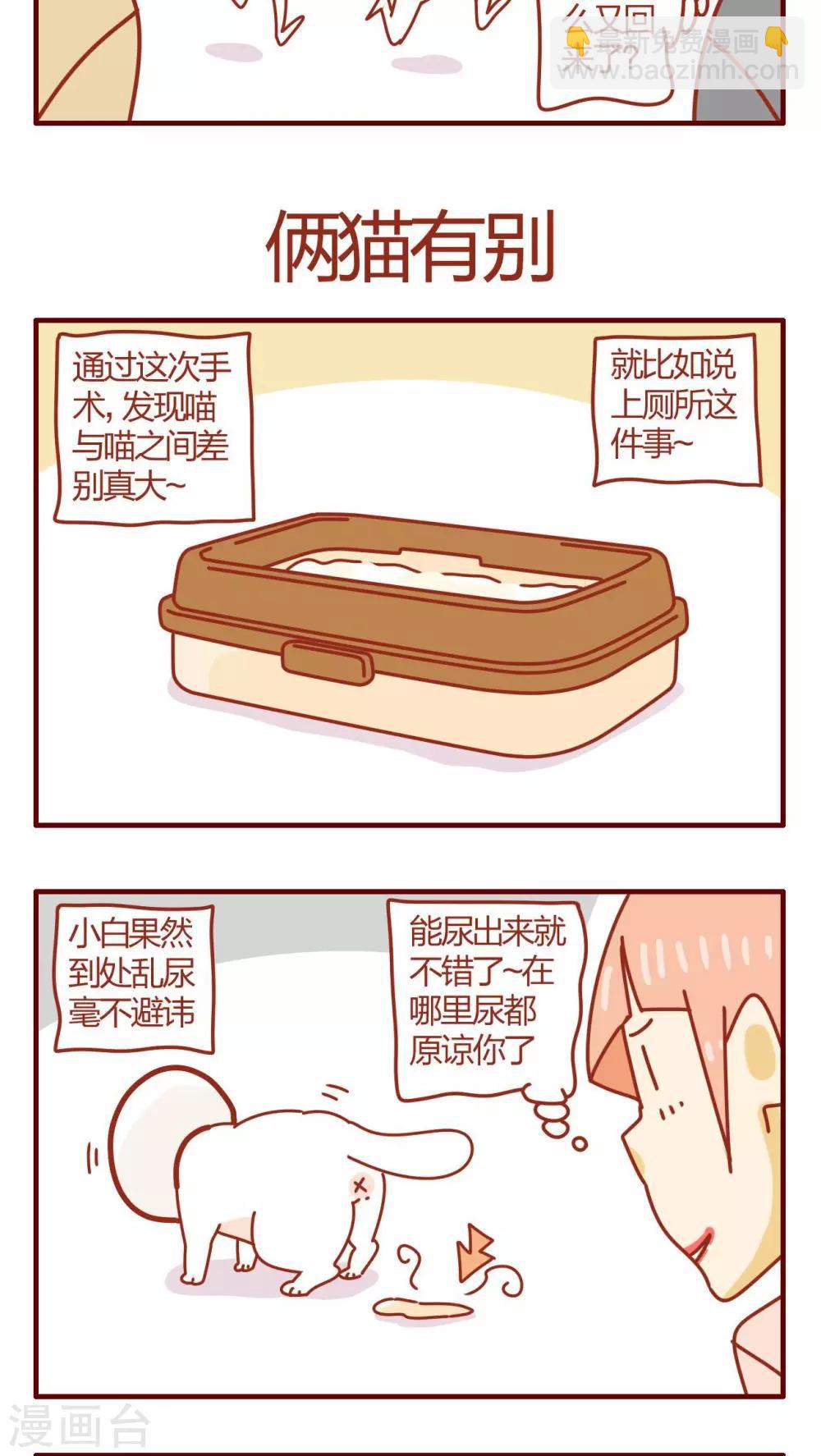 第48话-第48话