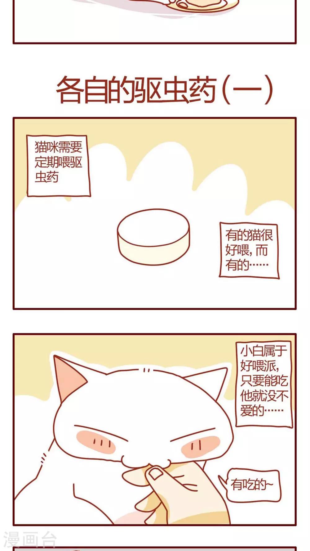 第8话-第8话