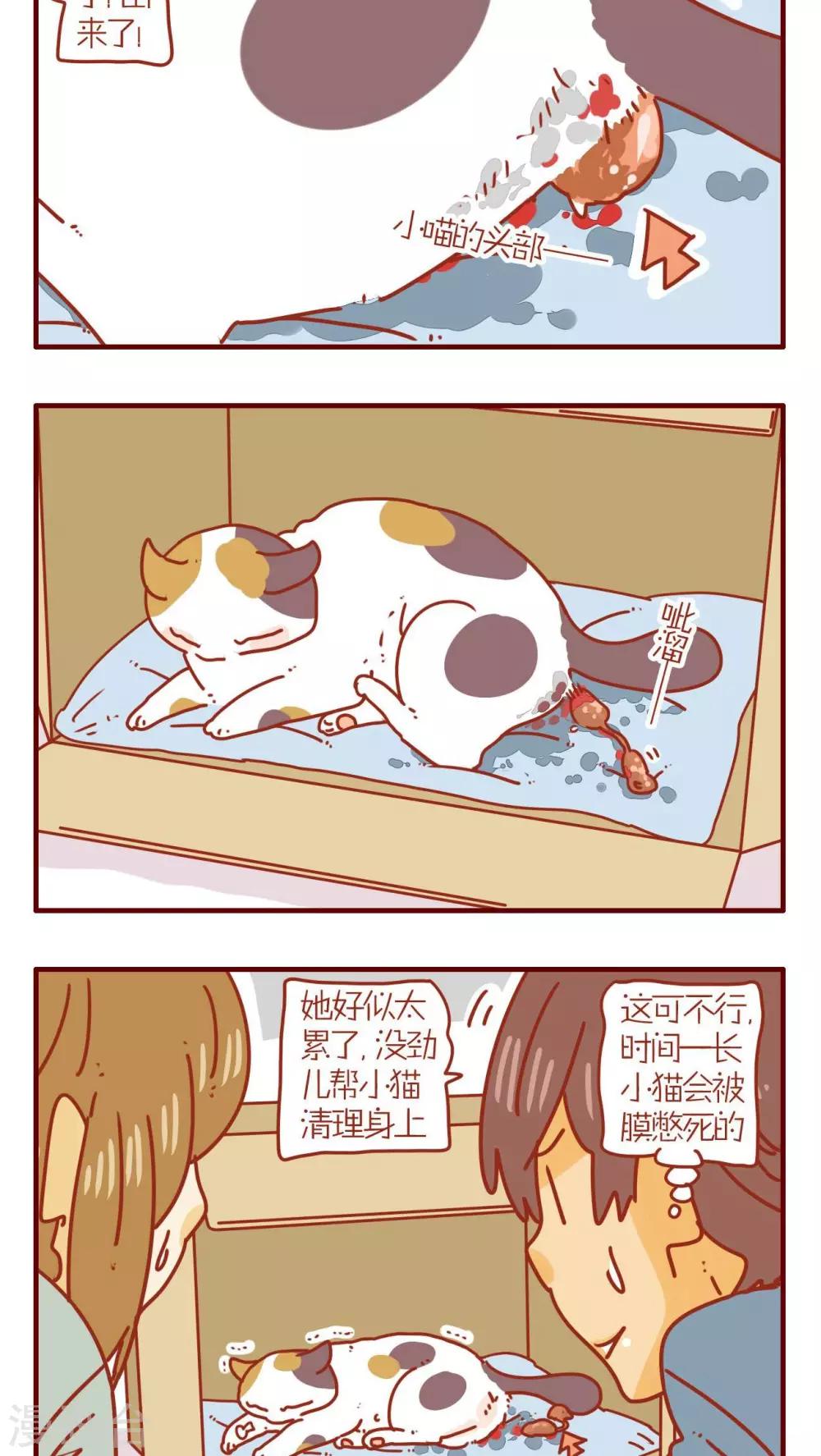第72话-第72话